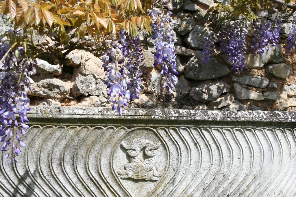 Domaine De La Blaque - B&B Varages Cameră foto