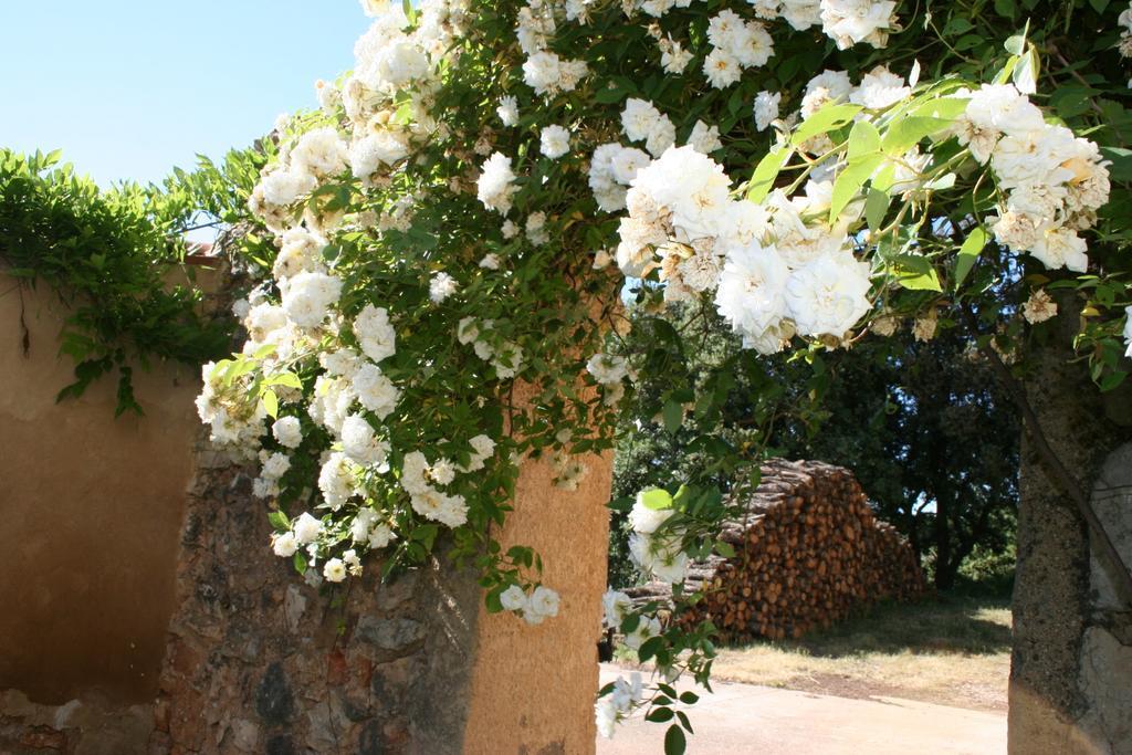 Domaine De La Blaque - B&B Varages Exterior foto